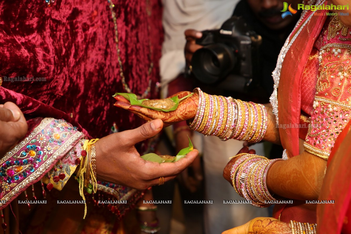 Manali Rathod and Vijith Varma's Wedding Ceremony