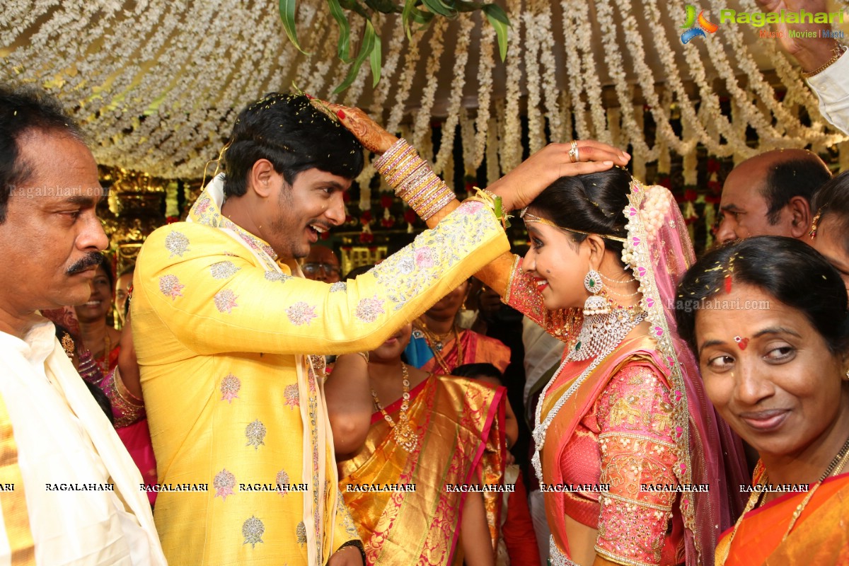 Manali Rathod and Vijith Varma's Wedding Ceremony