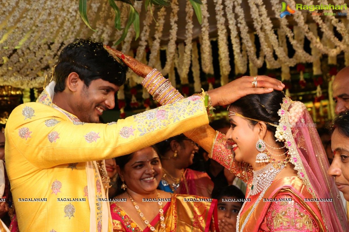 Manali Rathod and Vijith Varma's Wedding Ceremony