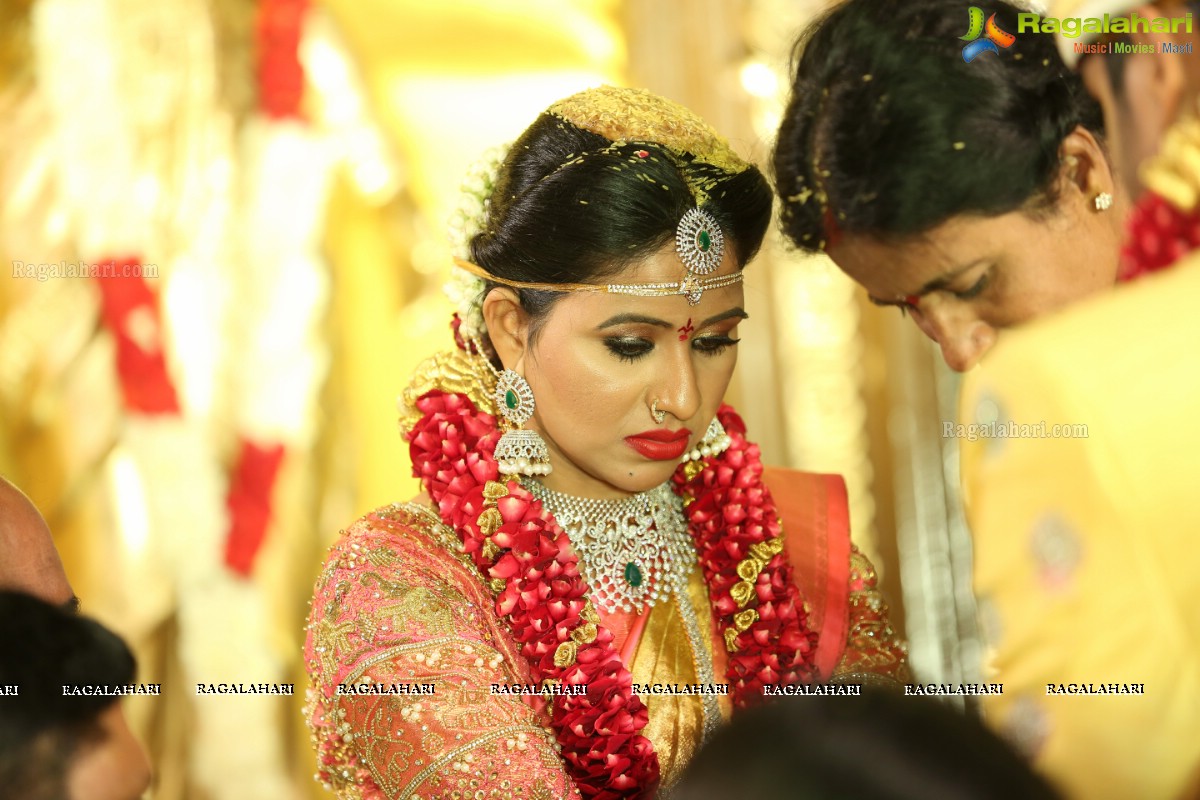 Manali Rathod and Vijith Varma's Wedding Ceremony