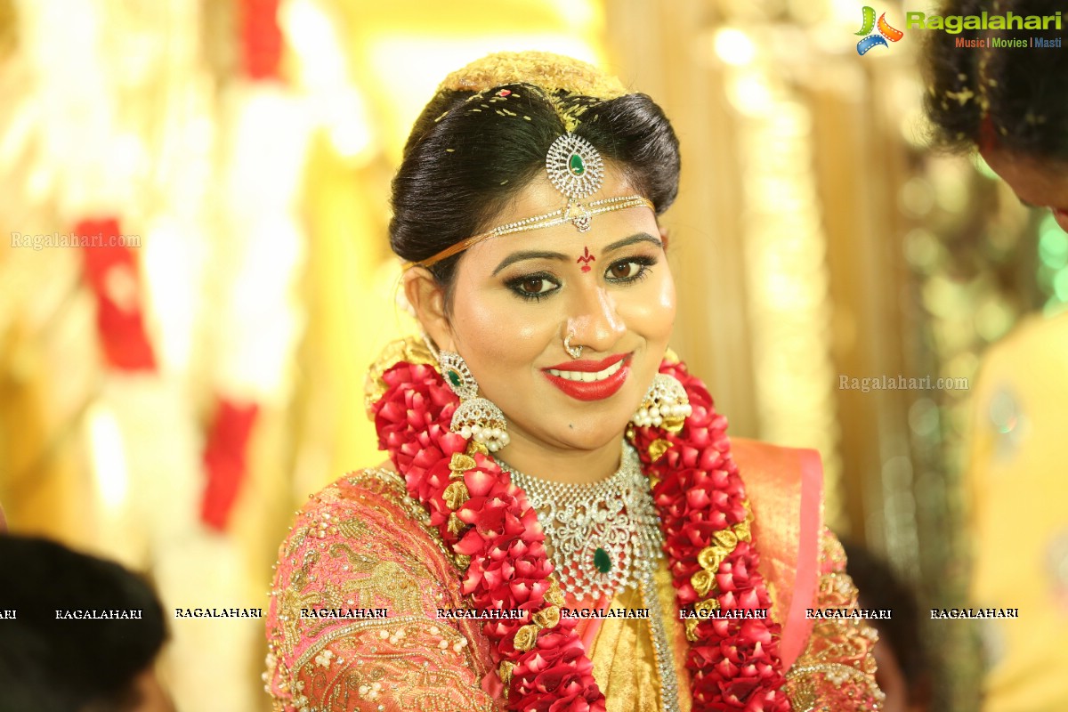 Manali Rathod and Vijith Varma's Wedding Ceremony