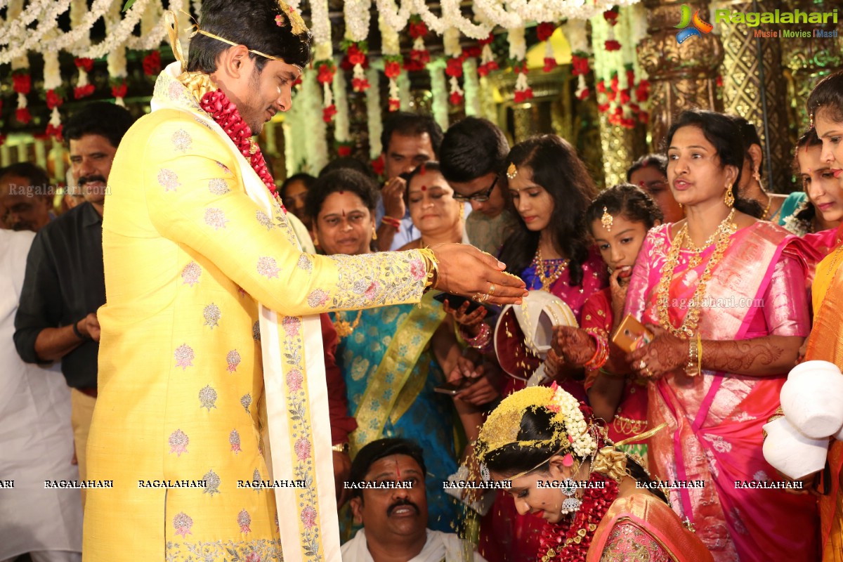 Manali Rathod and Vijith Varma's Wedding Ceremony