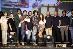 Maa Vintha Gaadha Vinuma Movie Pre-Release Event