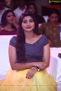 Ravanalanka Movie Pre-Release Event