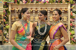 Ratha Jewellery Grand Launch at Emmadi Silver Jewellery