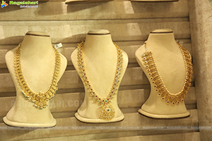 Ratha Jewellery Grand Launch at Emmadi Silver Jewellery