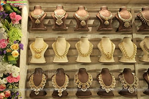 Ratha Jewellery Grand Launch at Emmadi Silver Jewellery
