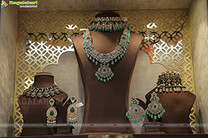 Ratha Jewellery Grand Launch at Emmadi Silver Jewellery