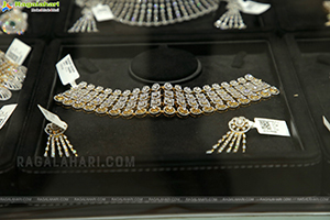 Ratha Jewellery Grand Launch at Emmadi Silver Jewellery