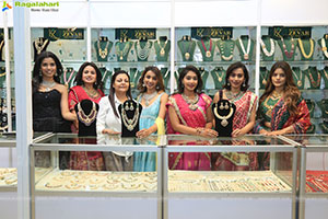 Hi Life Jewels Exhibition Nov 2024 at Novotel, Vijayawada