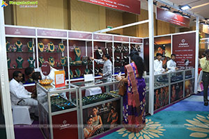 Hi Life Jewels Exhibition Nov 2024 at Novotel, Vijayawada