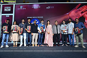 The Girlfriend Movie Success Celebrations