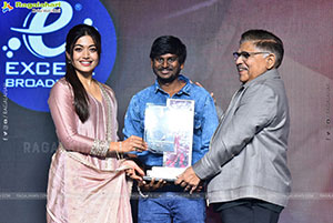 The Girlfriend Movie Success Celebrations