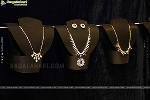 Hi Life Exhibition Nov 2025 Kicks Off at The Lalit Ashok