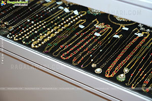 Hi Life Exhibition Nov 2025 Kicks Off at The Lalit Ashok