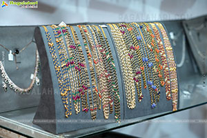 Hi Life Exhibition Nov 2025 Kicks Off at The Lalit Ashok