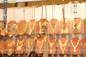 Hi Life Exhibition Nov 2025 Kicks Off at The Lalit Ashok