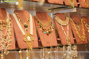 Hi Life Exhibition Nov 2025 Kicks Off at The Lalit Ashok