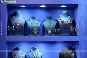 Hi Life Jewels Exhibition November 2025 at Taj West End