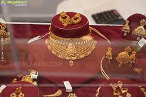 Hi Life Jewels Exhibition November 2025 at Taj West End