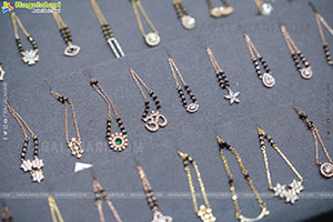 Hi Life Jewels Exhibition November 2025 at Taj West End