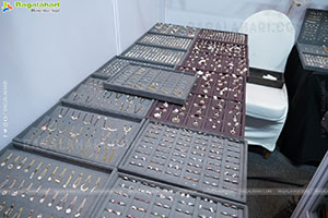 Hi Life Jewels Exhibition November 2025 at Taj West End