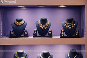 Hi Life Jewels Exhibition November 2025 at Taj West End