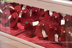 Hi Life Jewels Exhibition November 2025 at Taj West End