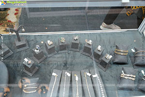 Hi Life Jewels Exhibition November 2025 at Taj West End