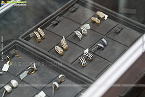 Hi Life Jewels Exhibition November 2025 at Taj West End