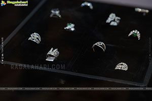 Hi Life Jewels Exhibition November 2025 at Taj West End