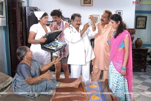 Allari Naresh, Kamna Jetmalani, Meghana