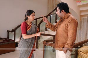 Prakash Raj, Bhumika