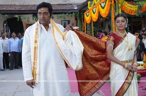 Prakash Raj, Bhumika