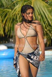 Priyamani Bikini Gallery