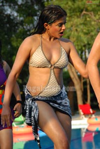 Priyamani Photo Gallery