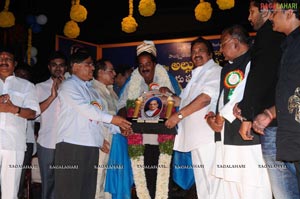 Allu Award 2010 presented to EVV Satyanarayana