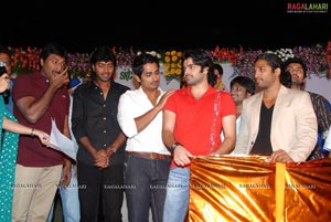 Bava Audio Release