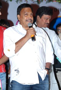 Bava Audio Release