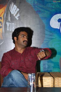 Brindaavanam Success Meet