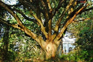 Nandi Hills, Bangalore