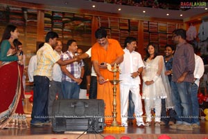 Shopping Mall Audio Release