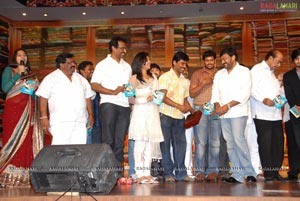 Shopping Mall Audio Release