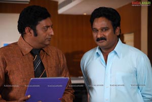 Prakash Raj, Bhumika