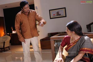 Prakash Raj, Bhumika