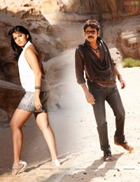 Nagarjuna, Anushka, Priyamani