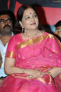 Dhookudu Success Meet