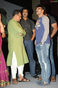 Dhookudu Success Meet