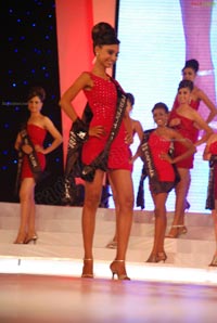 Miss Hyderabad 2011