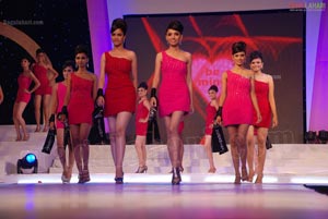 Miss Hyderabad 2011